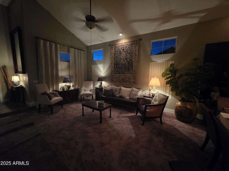 At Night with Canned Lights