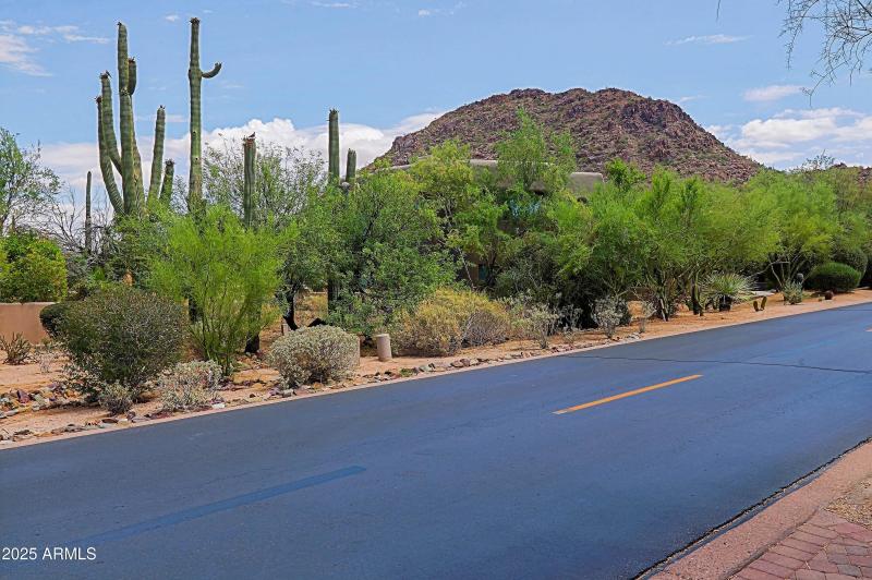 View from Driveway (1)