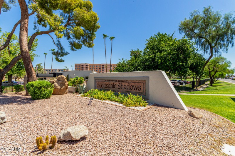 40 - Camelback