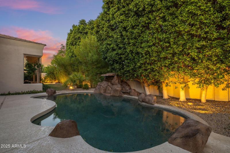 Pool/Backyard