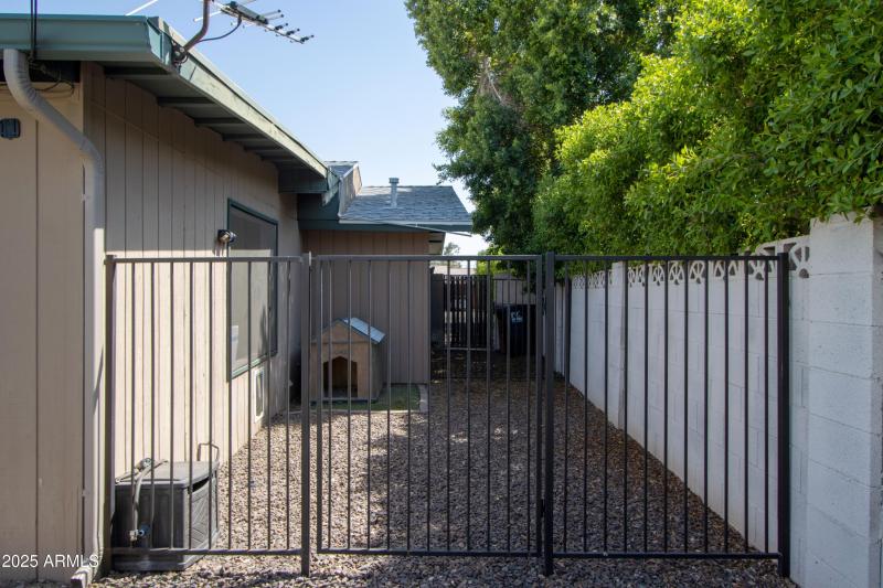 Sideyard (Dog run)