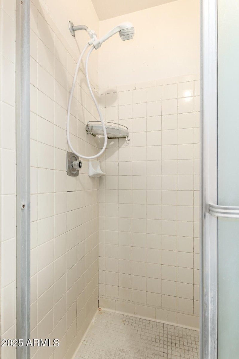 Primary Walk in shower