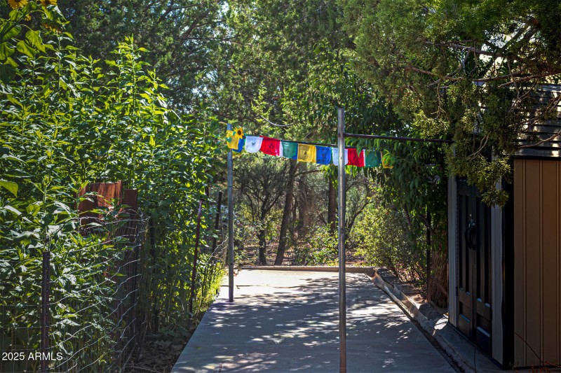 Giant Sunflowers and Peace Walk