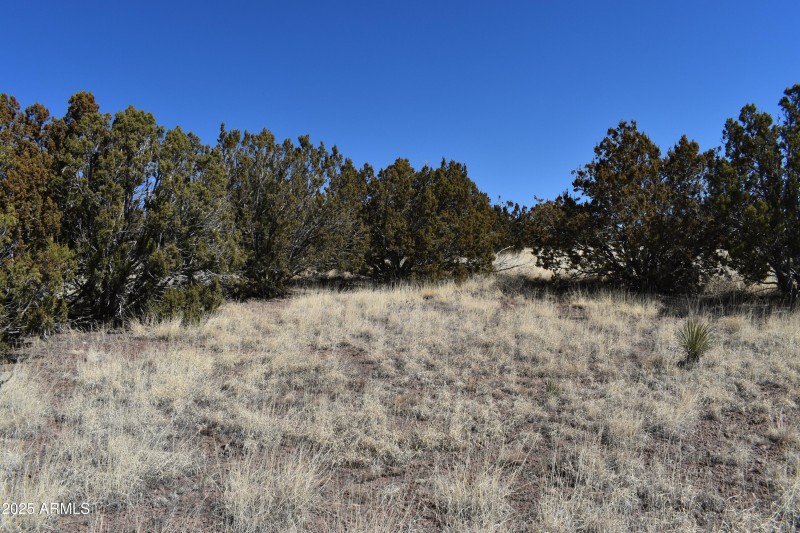 009_009_Come build your dream home