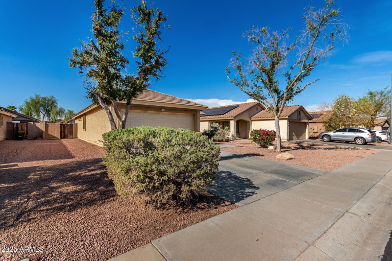 Well-Maintained Backyard Space