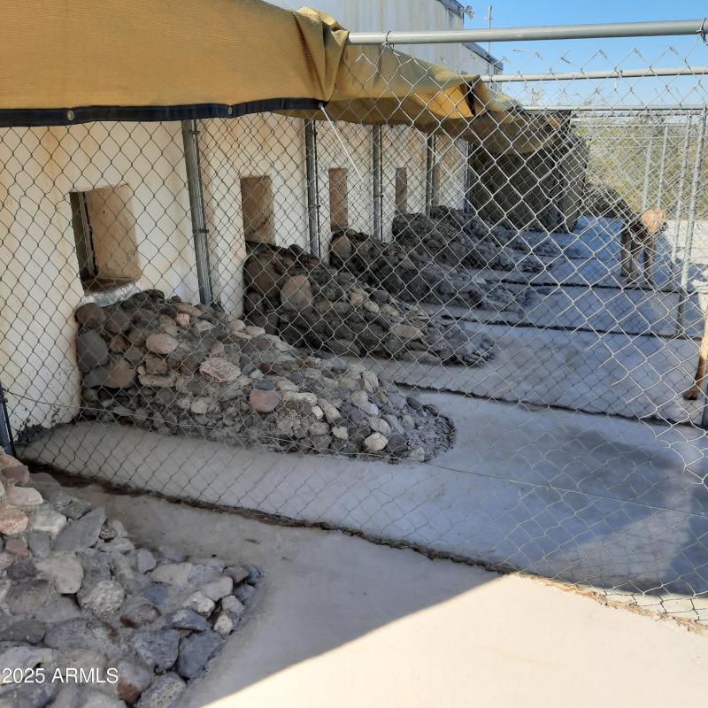 Large Outdoor Runs 2