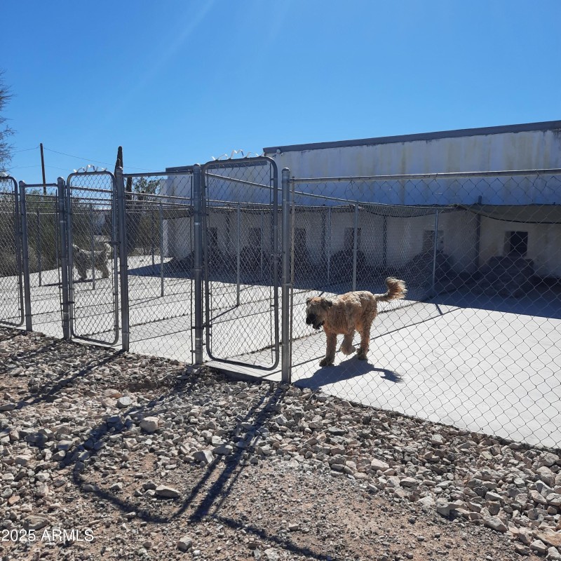 Large Kennel Outdoor runs