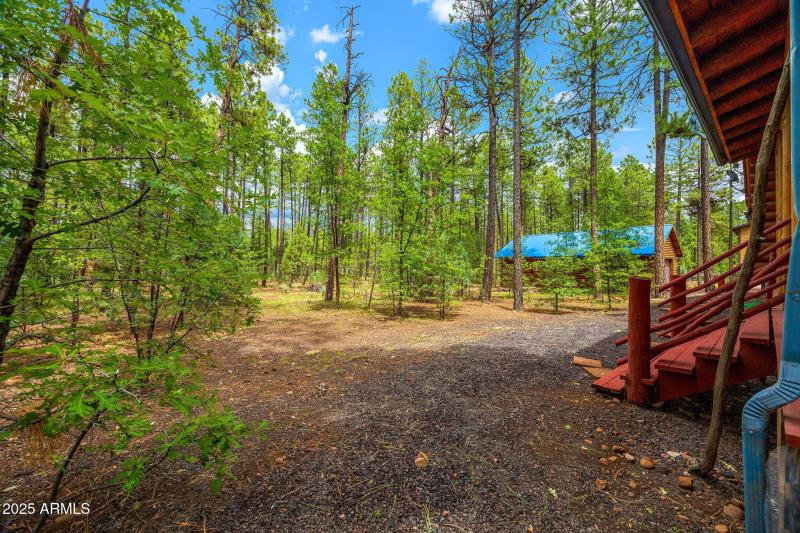 368RimRd-Pinetop-AZ-33