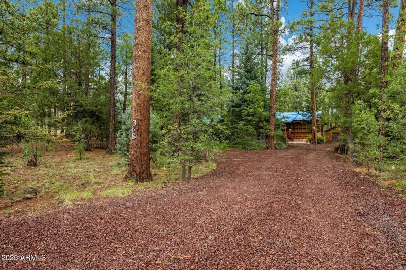 368RimRd-Pinetop-AZ-38