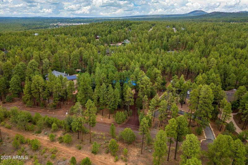 368RimRd-Pinetop-AZ-39