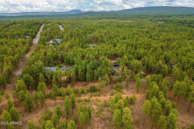 368RimRd-Pinetop-AZ-40