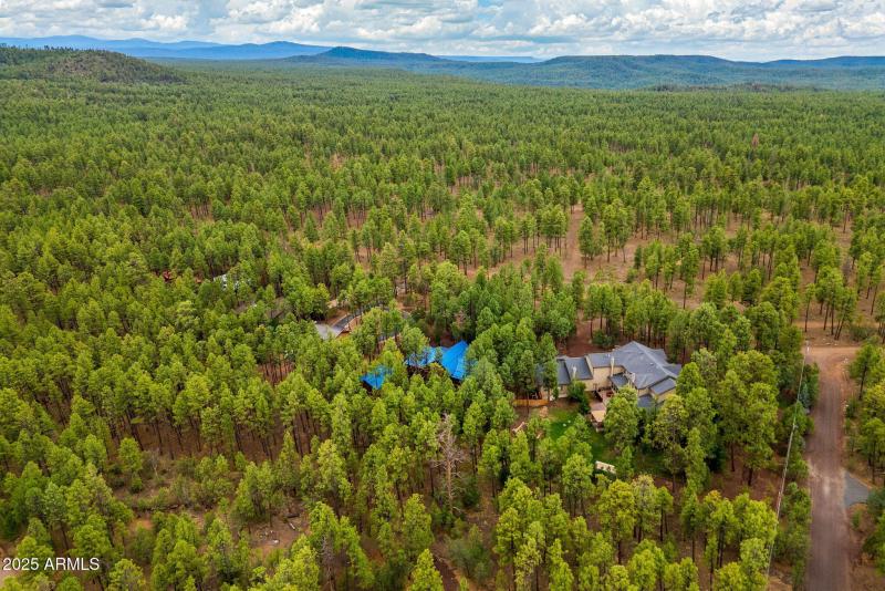 368RimRd-Pinetop-AZ-42