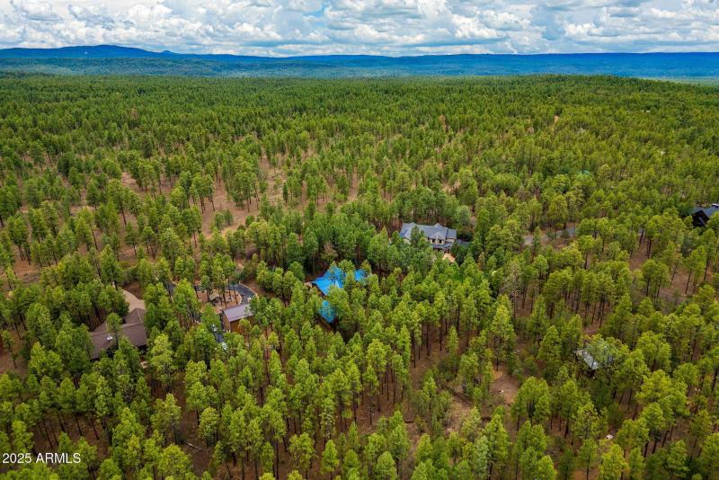 368RimRd-Pinetop-AZ-43