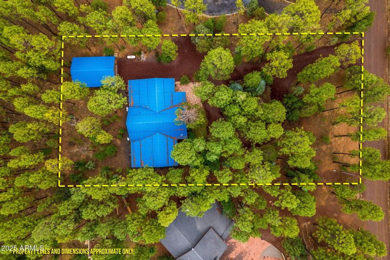 368RimRd-Pinetop-AZ-44