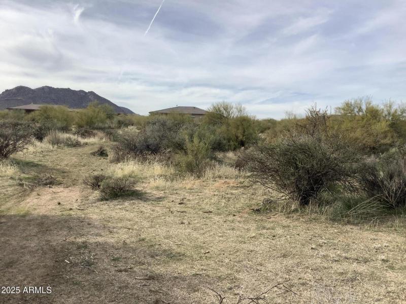 9C99FDF3-B46B-4473-8256-028788FF33D5