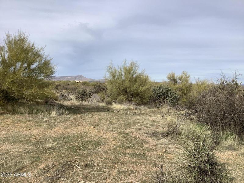 1570F99E-6324-42F9-9E2C-CEEE8F11FAD2