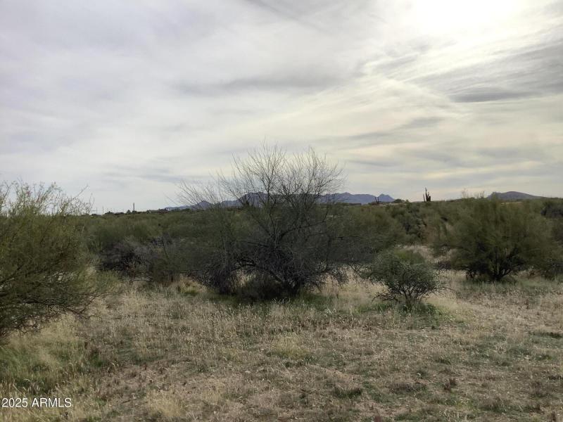 619FD21F-A64C-4109-AF28-B9F8249CBCC6