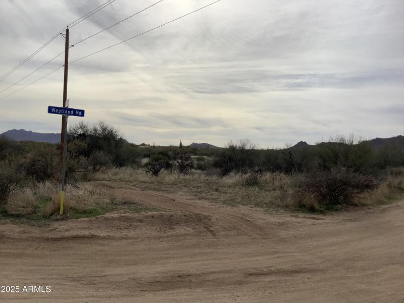 24A4A54D-DEA0-4C12-93A1-79428CE42778