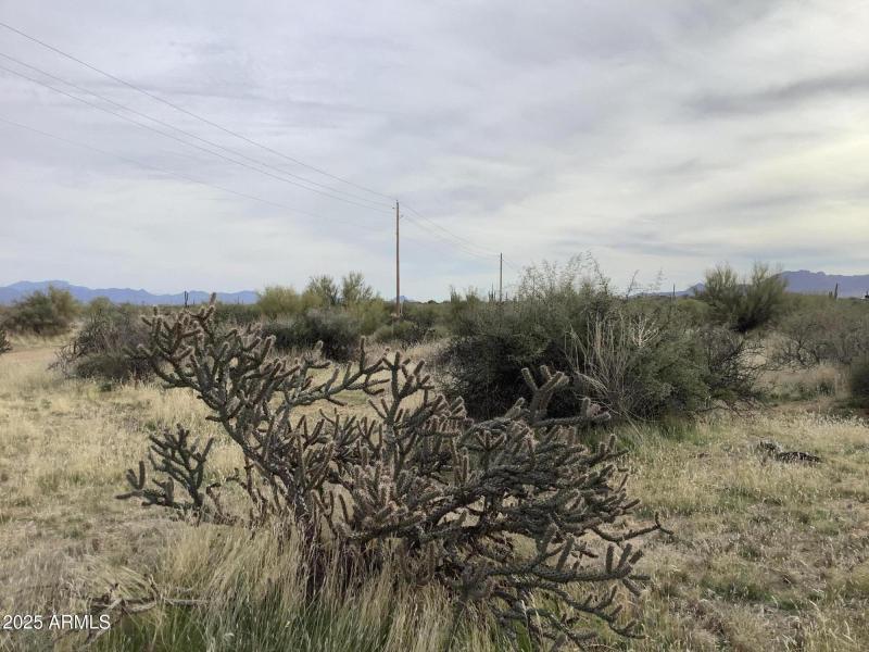 EF74D5B8-32FC-4103-860E-FD8C975417BA