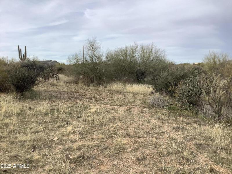 E02C99FC-E1B5-4368-855C-03B9B090171E