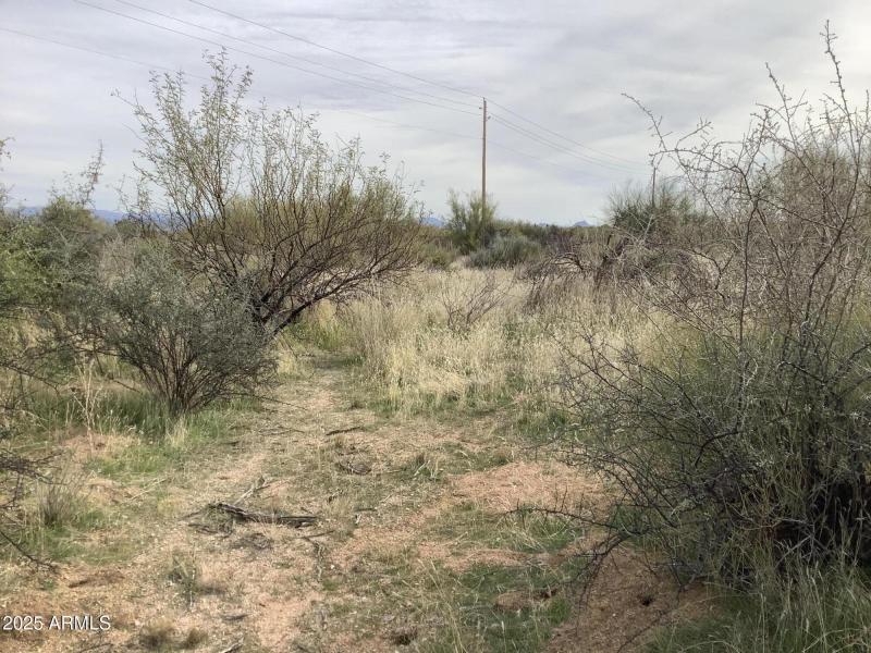 5B1ABB95-B1DA-4218-B9D9-F96A8280A188