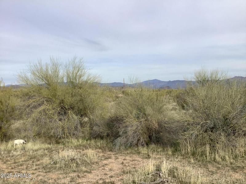 28BF7C23-2059-4D5A-A39B-AF6A2B812375