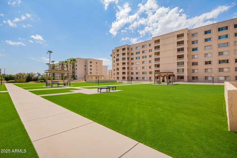 31 - Camelback