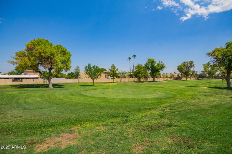 34 - Camelback
