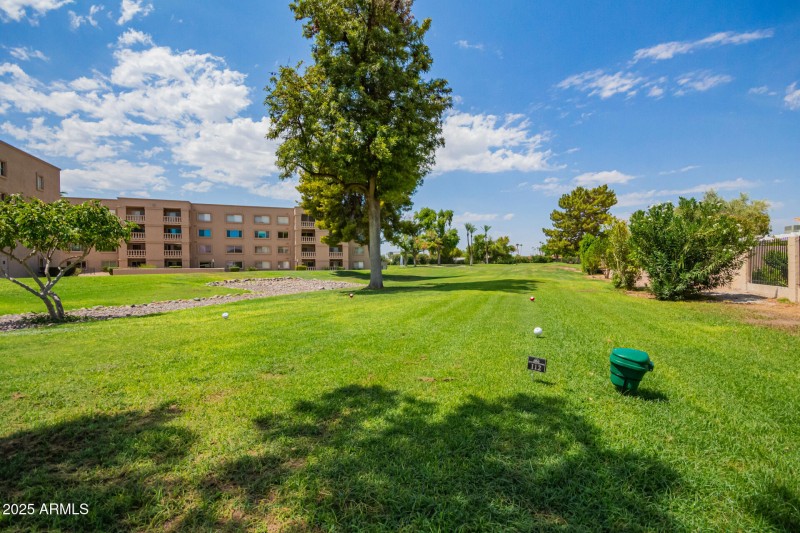 35 - Camelback
