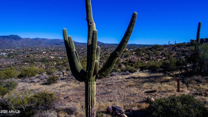PRISTINE DESERT SETTING!