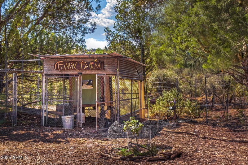 Chicken Enclosure
