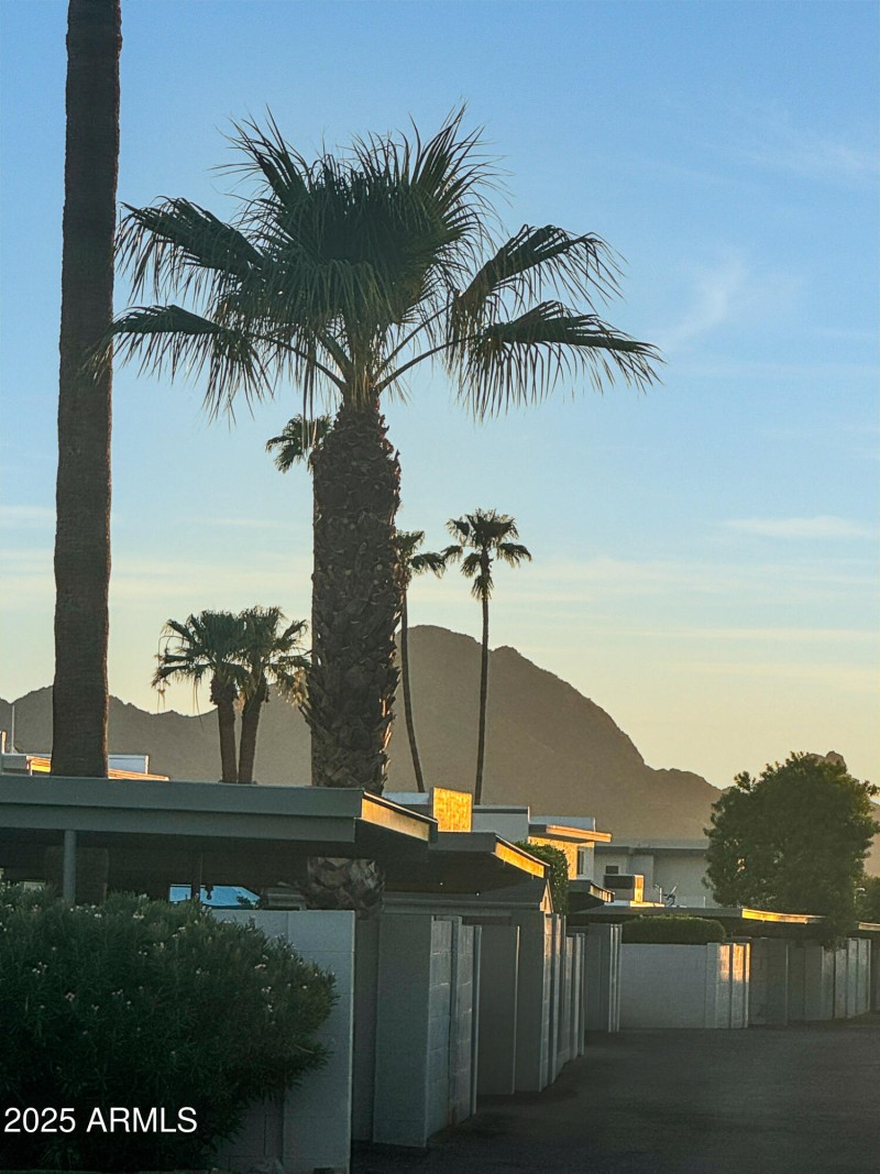 Camelback mountain view