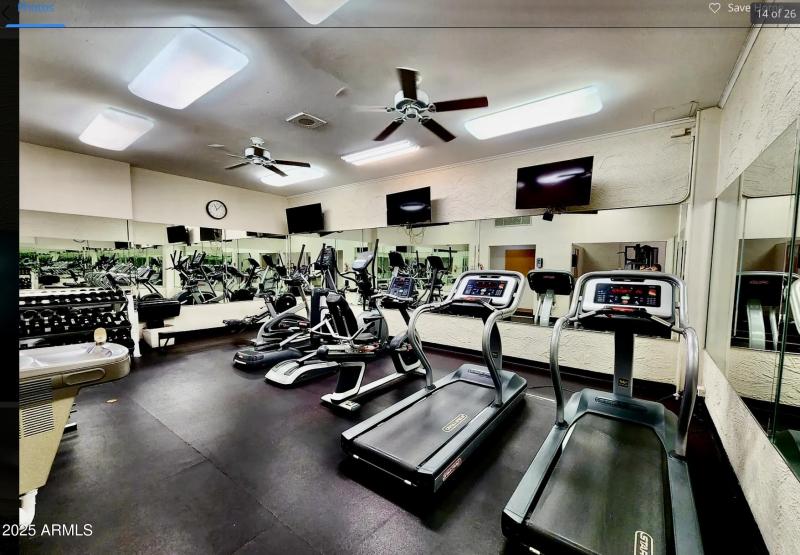 GYM