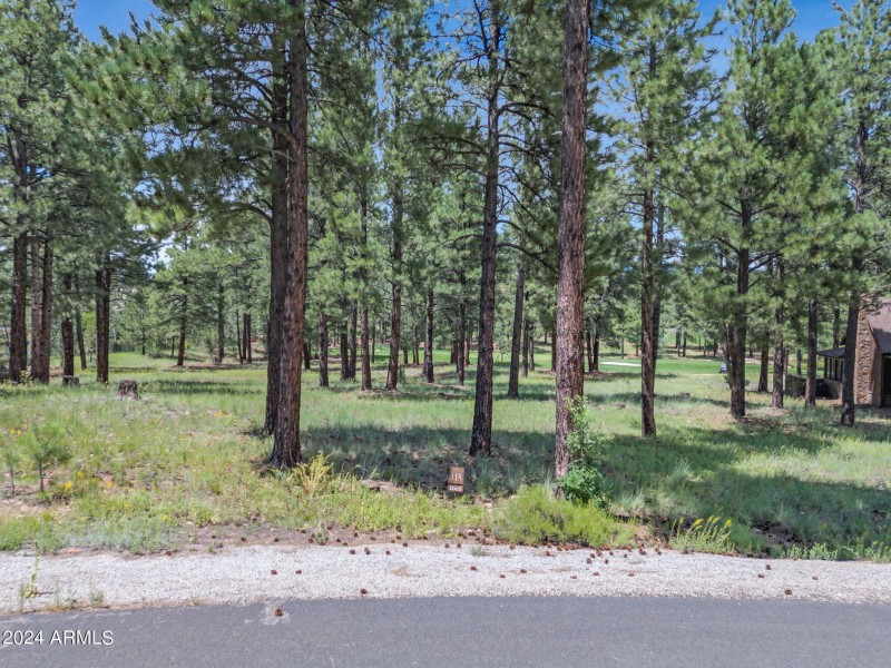 6-web-or-mls-TimberCreekImagery-6 (1)