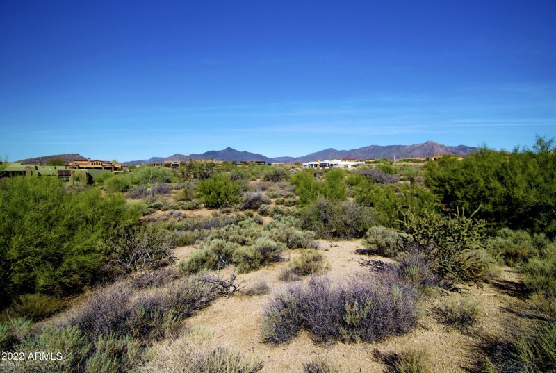 Screen Shot 2022-02-07 at 7.41.30 PM