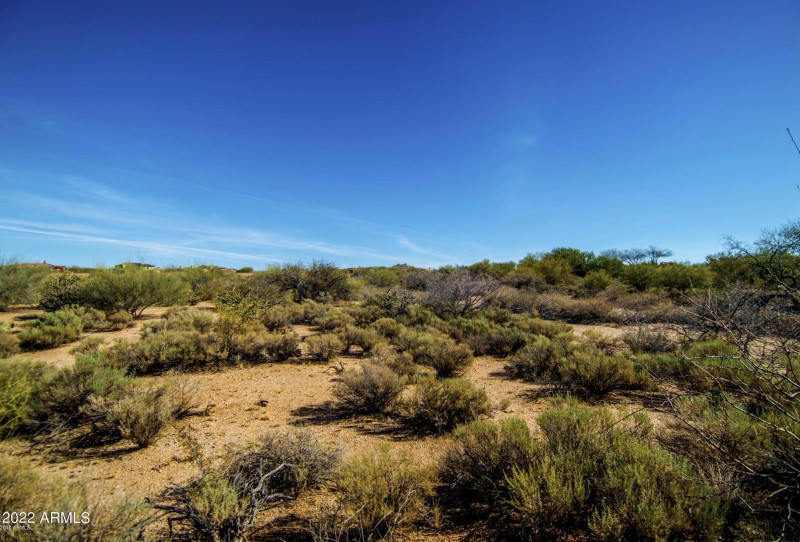 Screen Shot 2022-02-07 at 7.41.40 PM