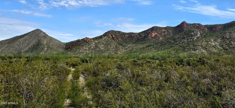 South Lonesome Drive