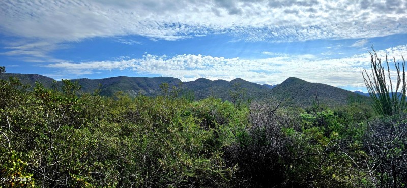 South Lonesome Drive