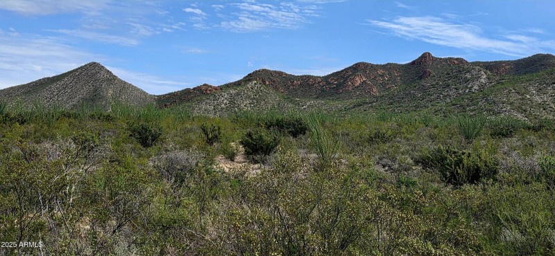 South Lonesome Drive