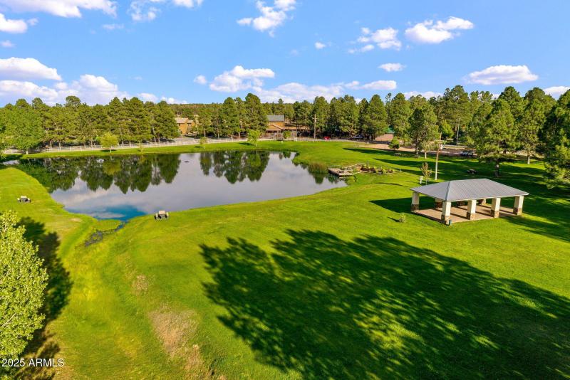 CATCH AND RELEASE FISHING