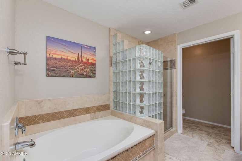 Primary Tub/Shower