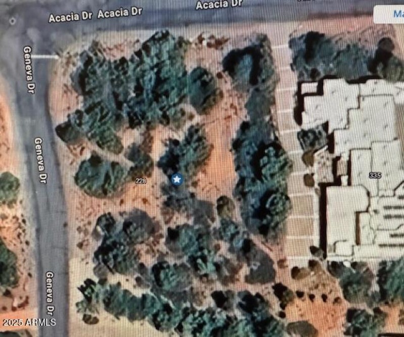 Google Earth Satellite Map