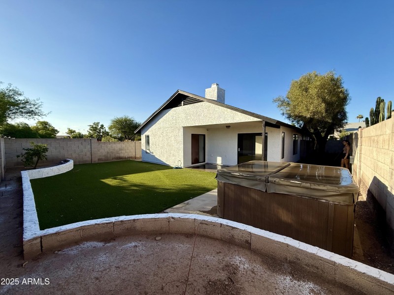 backyardnew1