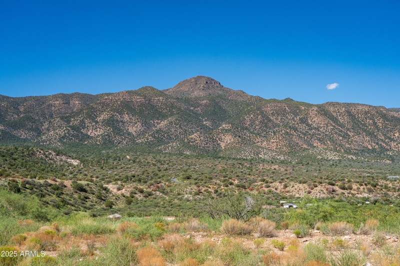 JL_6364CedarSpringsSt-ground-05