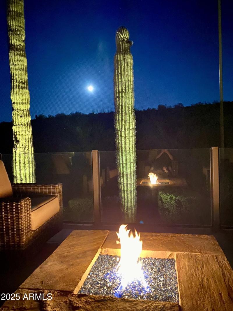 RELAX IN THE MOONLIGHT