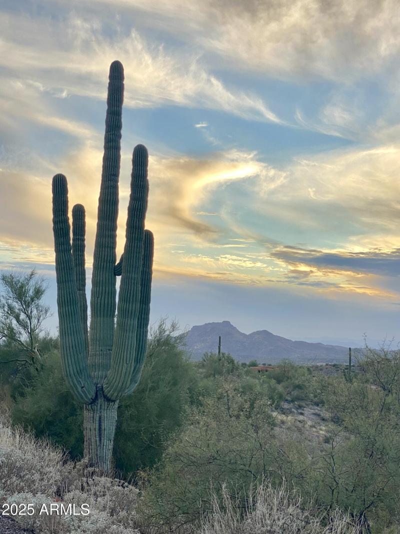 A WALK UP ROCKVIEW COURT