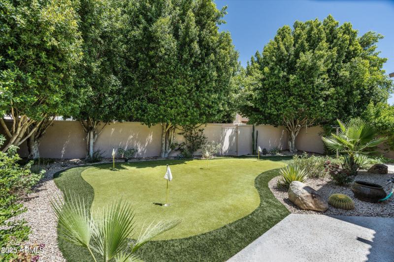 Backyard - Putting Green