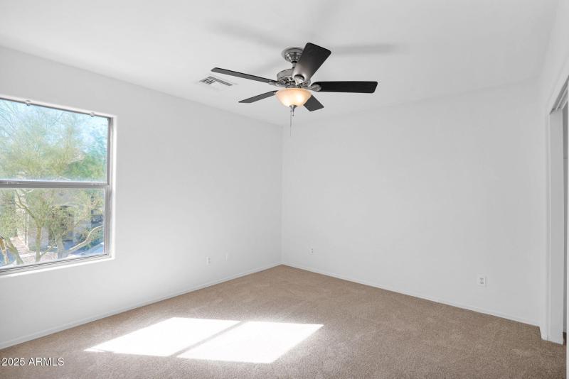 29-web-or-mls-P1303993