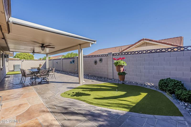 South-Facing Backyard