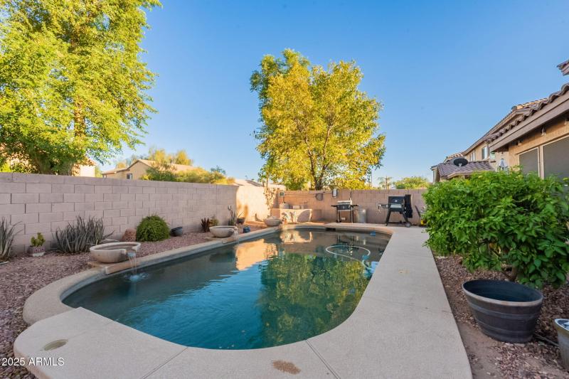 54-web-or-mls-Martingale-54